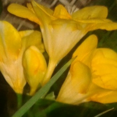 Яна Кондрат, 15.05, Одесса