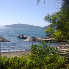 Наташа Димитрова, 19.08, Обзор