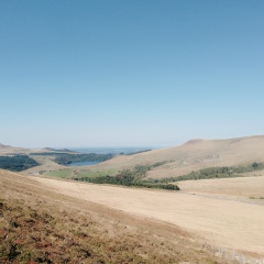 Ольга Шарипова, Санкт-Петербург
