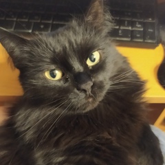 Светлана Авдусина, 23.08, Москва