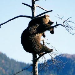 Сергей Лосич, 18.08, Санкт-Петербург