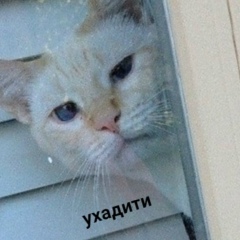 Алсу Тарзимина, 14.06, Уфа