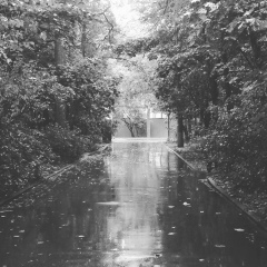 Кристина *******, 20.06.1993, Москва