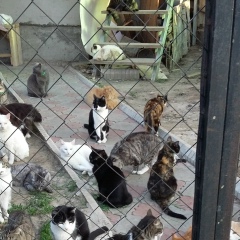 Ольга Толмачева, 19.04.1959, Алматы