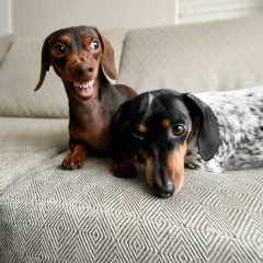 Регина Белоусова, 30.11, Озерск