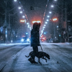 Gross Line, 30.01, Шымкент