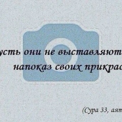 Патимат Алибекова