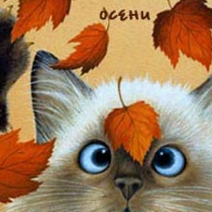 Михаил Носырев, 02.03.1979, Борисоглебский