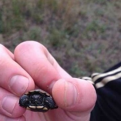 Славик Заремба, 01.02, Донецк