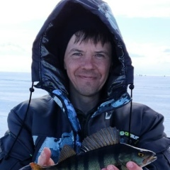 Дмитрий Пелипенко, 07.01.1978, Санкт-Петербург