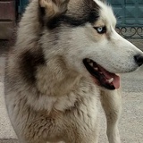 Роман Масумов, 01.05, Москва