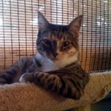 Заур Гаджиев, 17.11.1992, Махачкала