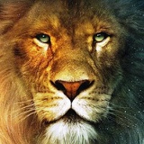 Николай Черников, Москва