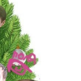 Полина Федотова