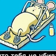 Александр Огай, Алматы