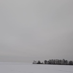 Сергей Яковлев, Санкт-Петербург