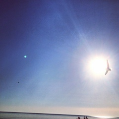 Tape One, 27.07.1925, Москва