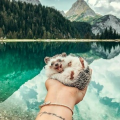 Наталья Деревянкина, Мурманск