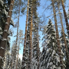 Анастасия Кази, 02.04, Санкт-Петербург