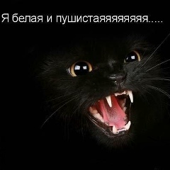 Надежда Шепель, Москва