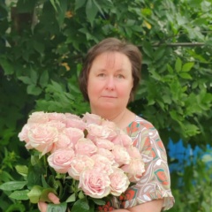 Елена Петрова, Новосокольники