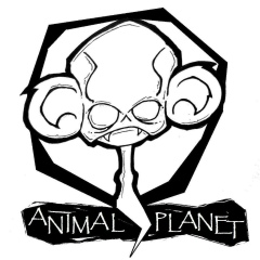 Animal Planet, Таллин