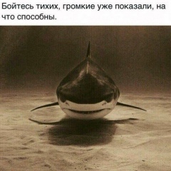 Адам Исаев, 12.04.1995, Хасавюрт