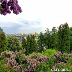 Инна Шпак, 17.07, Киев