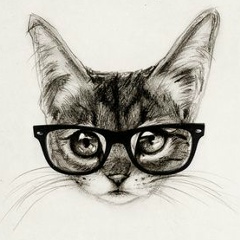Cat Warm