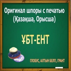 Шынгысхан Кодарбеков, 01.01.1995, Алматы