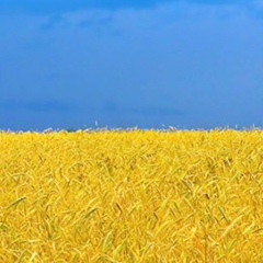 Юлечка Прокопова, 05.06.1990, Днепр (Днепропетровск)