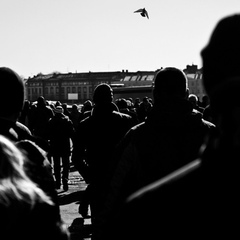 Донисов Эдуард, 15.05, Санкт-Петербург