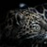 Эльдар Камов, 10.02.1989, Москва