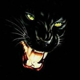 Елена Спицина, 29.11.1980, Тюмень