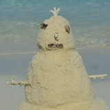 Vasily Pirogov, 31.12