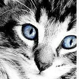 Марина Тисленко, 04.09.1991, Одесса