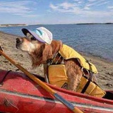 Магомед Нажаев, 23.01.1991, Грозный