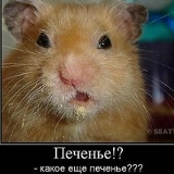 Nadin Alladin, 17.12, Санкт-Петербург