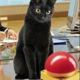 Сергей Знатнов, 20.01.1989, Москва