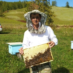 Антон , 03.11, Новосибирск