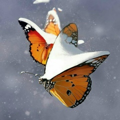 Светлана Тихонравова