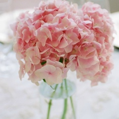 Ира Миллер, 17.12.1984, Белая Церковь