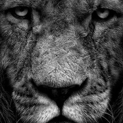 Дмитрий Цышков, 23.10, Уфа