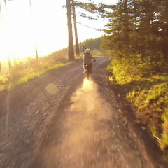 Дмитрий Калинкин, 20.04