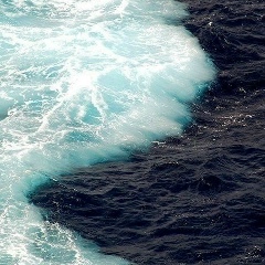 Zharas Tleubergen, Темиртау