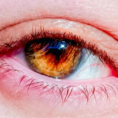 Виктория Катрич, 30.03, Москва