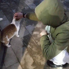 Куаныш Абсатаров, 23.12.1994, Атырау