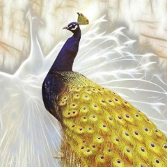 Ирина Жракова, 23.01, Липецк