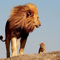 Лев Бохтороев, 12.12.1943, Челябинск