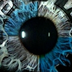 Владимир Мындру, 13.12.1984, Modena